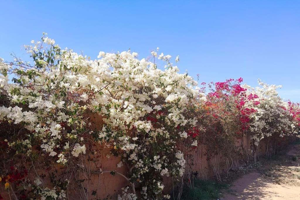Villa Agora, Villa A La Campagne Proche Marrakech Sidi Abdallah Ghiat Bagian luar foto